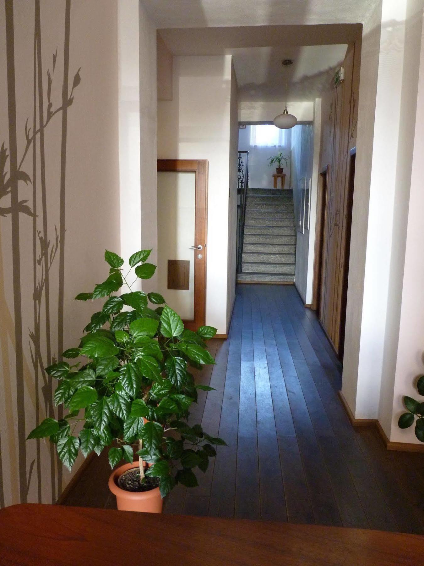 Hotel Art Pisek  Luaran gambar