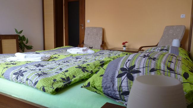 Hotel Art Pisek  Bilik gambar